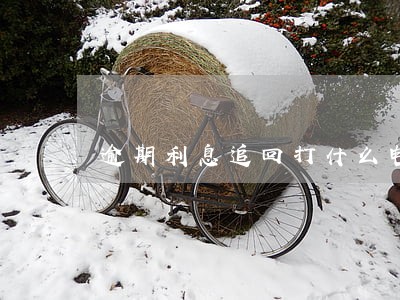 逾期利息追回打什么电话