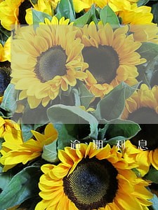 逾期利息适用两线三区吗 逾期利息适用两线三区吗