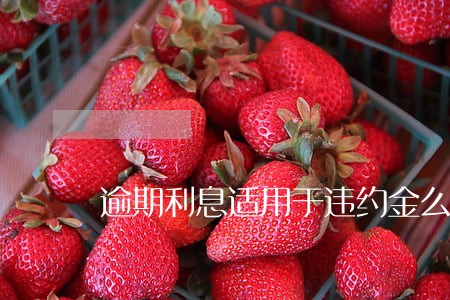 逾期利息适用于违约金么