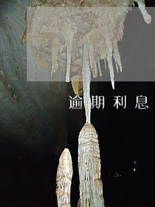 逾期利息适用法律规定 逾期利息适用法律规定