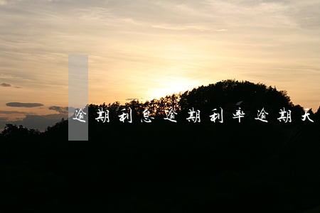 逾期利息逾期利率逾期天数