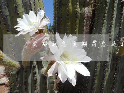 逾期利息逾期罚息违约金 逾期利息逾期罚息违约金