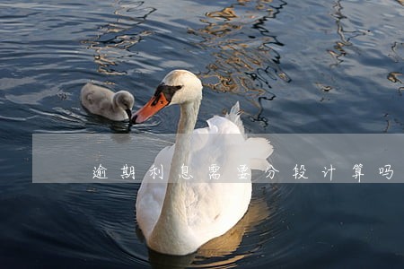 逾期利息需要分段计算吗 逾期利息需要分段计算吗