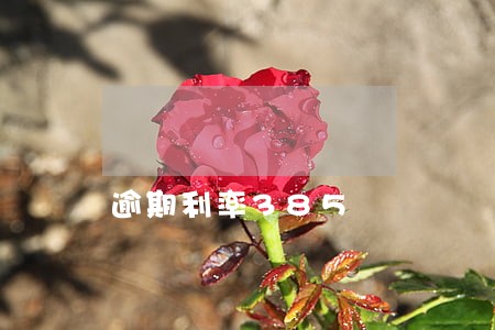 逾期利率385 逾期利率385