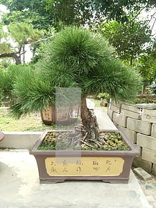 逾期利率385可以上浮多少 逾期利率385可以上浮多少