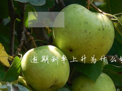 逾期利率上升为什么货币需求上升 逾期利率上升为什么货币需求上升