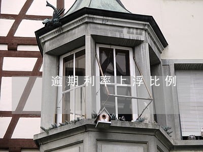逾期利率上浮比例 逾期利率上浮比例