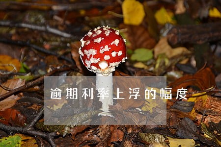 逾期利率上浮的幅度 逾期利率上浮的幅度