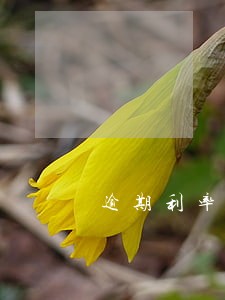 逾期利率上调 逾期利率上调