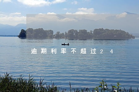 逾期利率不超过24 逾期利率不超过24