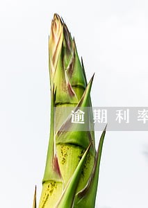逾期利率与利率区别