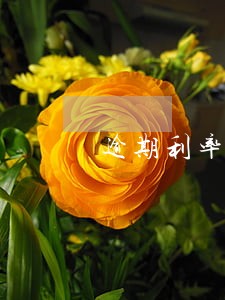 逾期利率什么时候恢复正常