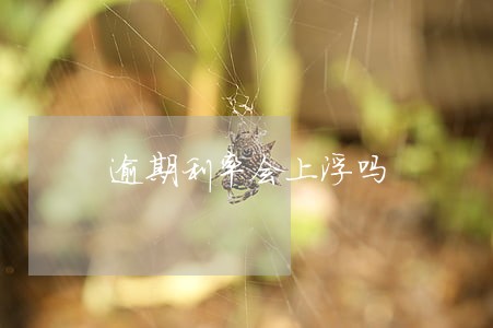 逾期利率会上浮吗 逾期利率会上浮吗