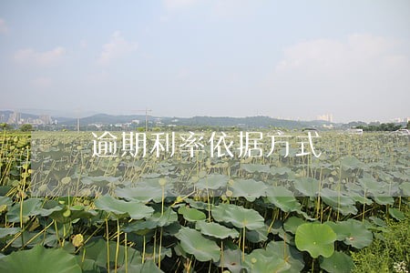 逾期利率依据方式 逾期利率依据方式