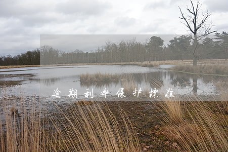 逾期利率保护标准 逾期利率保护标准