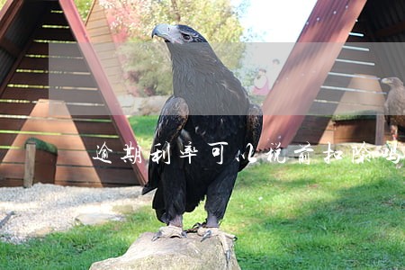 逾期利率可以税前扣除吗 逾期利率可以税前扣除吗