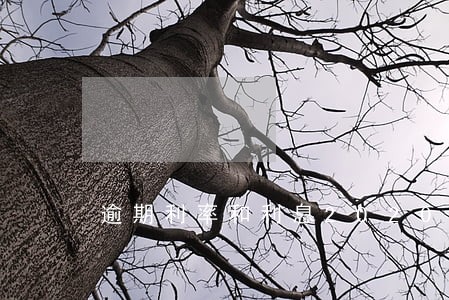 逾期利率和利息2020 逾期利率和利息2020