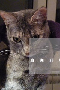 逾期利率和利息叠加吗 逾期利率和利息叠加吗