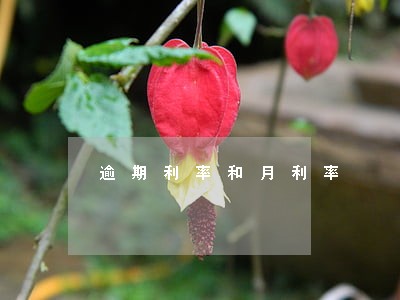 逾期利率和月利率 逾期利率和月利率