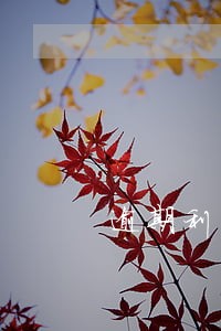 逾期利率多少 逾期利率多少