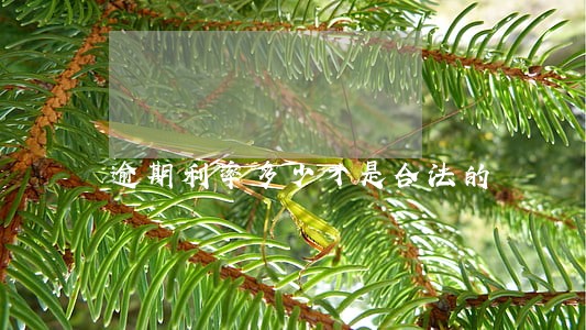 逾期利率多少才是合法的 逾期利率多少才是合法的