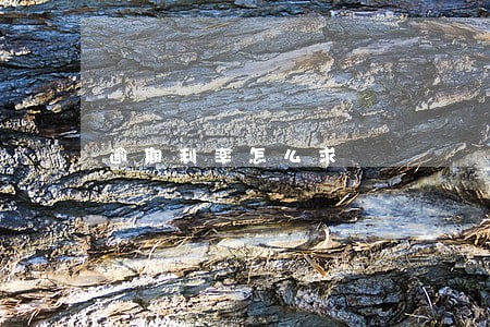 逾期利率怎么求 逾期利率怎么求