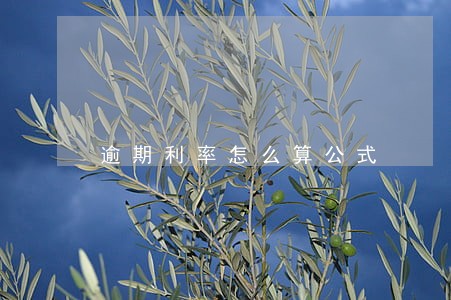 逾期利率怎么算公式 逾期利率怎么算公式
