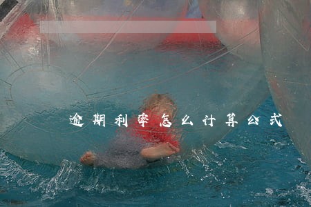 逾期利率怎么计算公式 逾期利率怎么计算公式