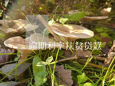 逾期利率扶贫贷款 逾期利率扶贫贷款