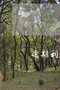 逾期利率按多少算 逾期利率按多少算