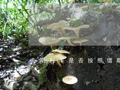 逾期利率是否按照借期