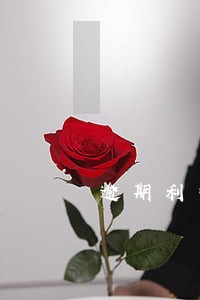 逾期利率是按年算吗 逾期利率是按年算吗