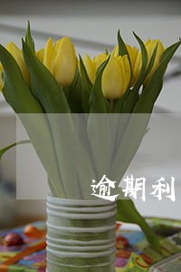 逾期利率没约定 逾期利率没约定