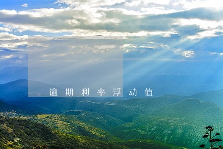 逾期利率浮动值 逾期利率浮动值
