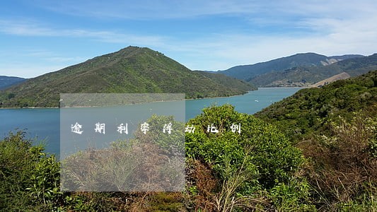 逾期利率浮动比例 逾期利率浮动比例