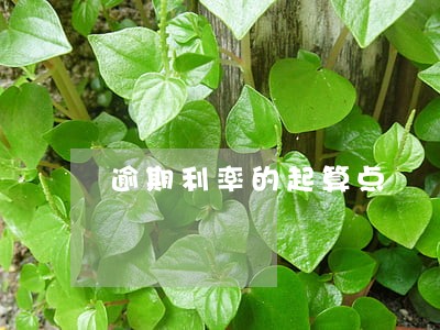 逾期利率的起算点
