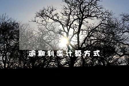 逾期利率计算方式