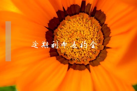 逾期利率违约金