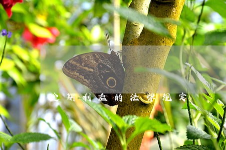 逾期利益的法律规定 逾期利益的法律规定