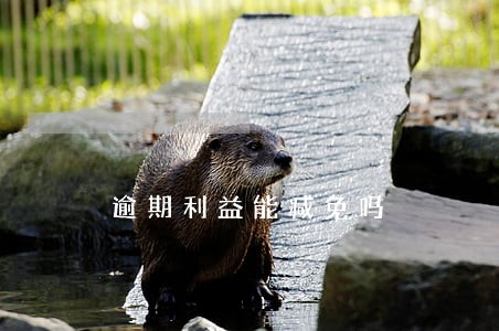 逾期利益能减免吗 逾期利益能减免吗