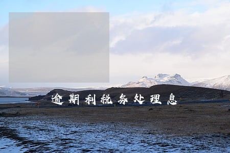 逾期利税务处理息 逾期利税务处理息