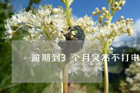 逾期到3个月突然不打电话了 逾期到3个月突然不打电话了