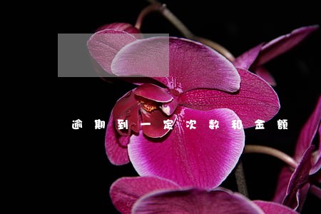 逾期到一定次数和金额