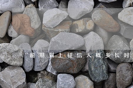 逾期到上征信大概多长时间