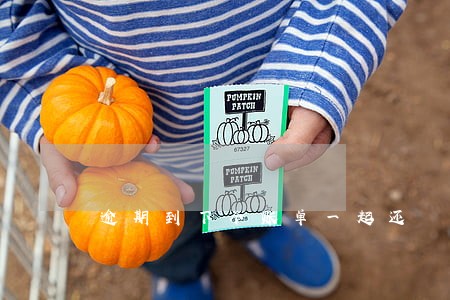 逾期到下个账单一起还 逾期到下个账单一起还