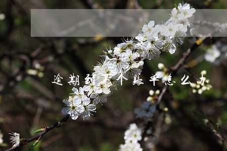 逾期到下个账单怎么办