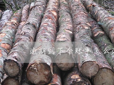 逾期到下个账单怎么还款