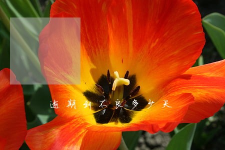 逾期到不良多少天