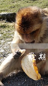 逾期到什么情况下会冻结房产 逾期到什么情况下会冻结房产