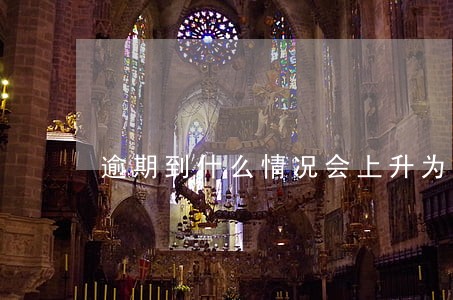 逾期到什么情况会上升为失信